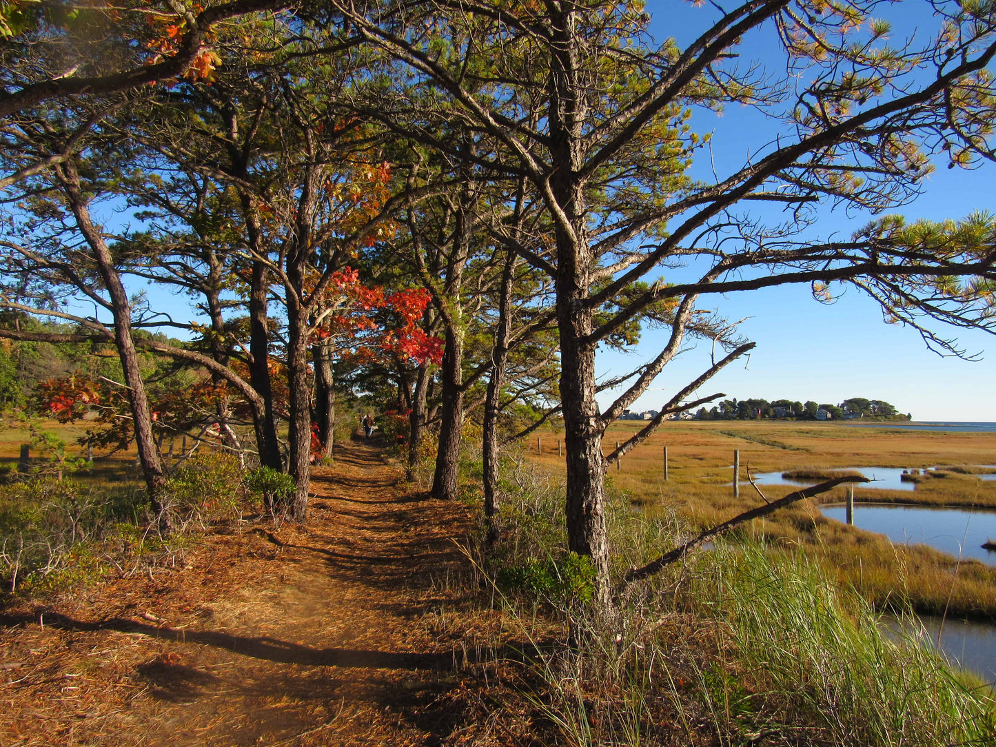 Choice of Trailhead or Landing | Equip. Transport, Setup + Instruction