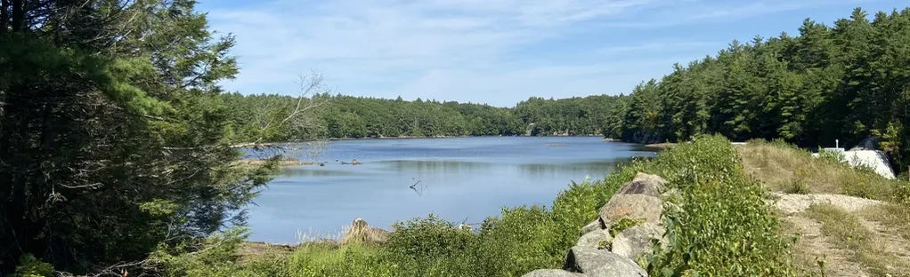 folly pond hiking