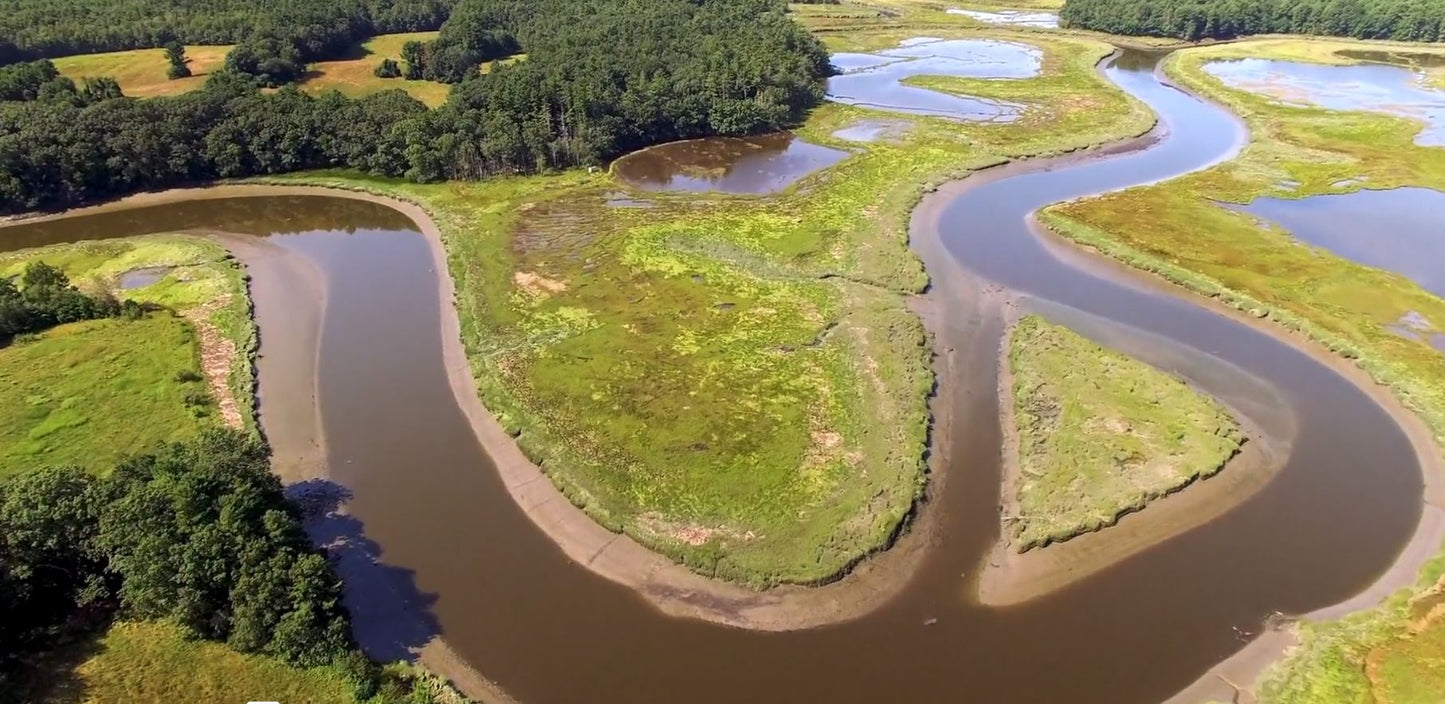 overview of smelt brook preserve