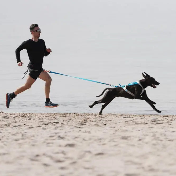 running with dog on Long Sands Beach, York, Maine near Northern Explorer Supply