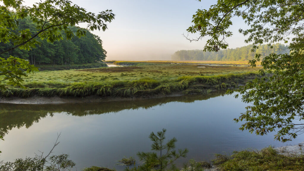 smelt brook preserve photo by Monkman