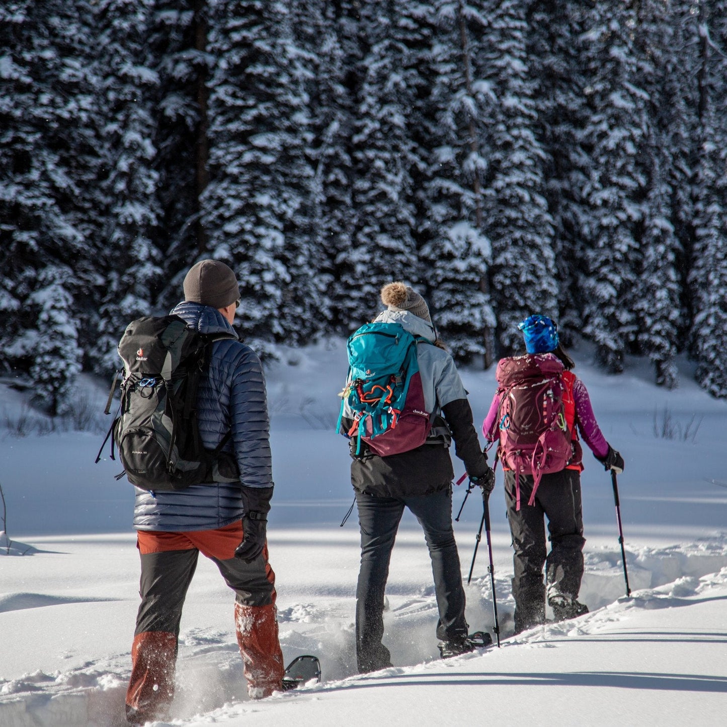 Maine Snowshoes for Rent