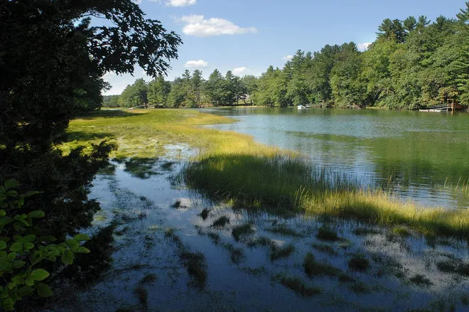 kayaking the wild and scenic york river