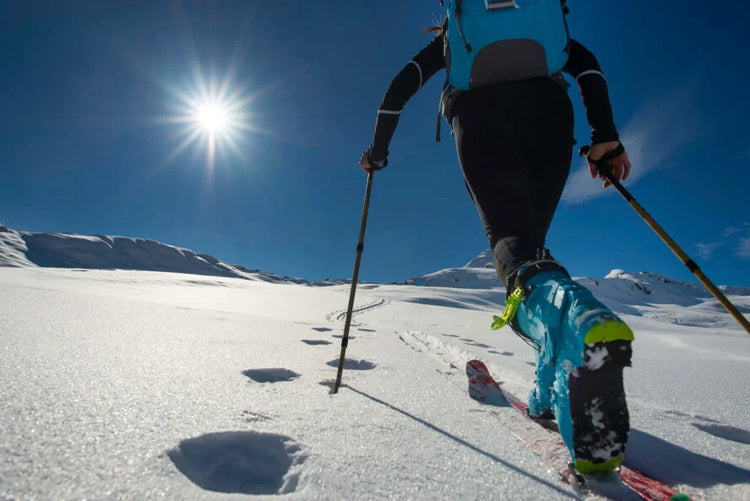 Alpine Touring and Backcountry XC [PENDING]