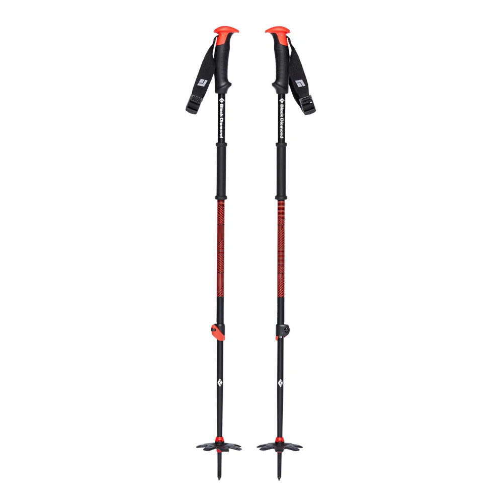 Telescopic Snowshoeing, Skiing, and Hiking Poles with Baskets for rental use.