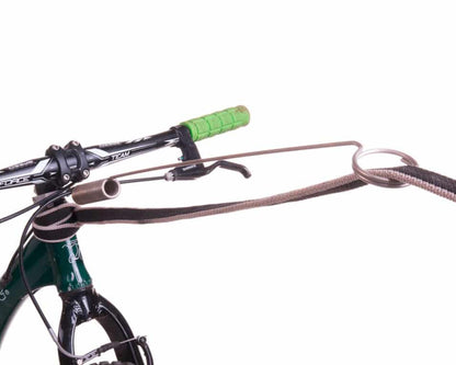 Biking with Dog in Maine using Antenna