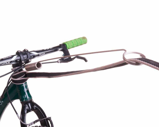 Biking with Dog in Maine using Antenna