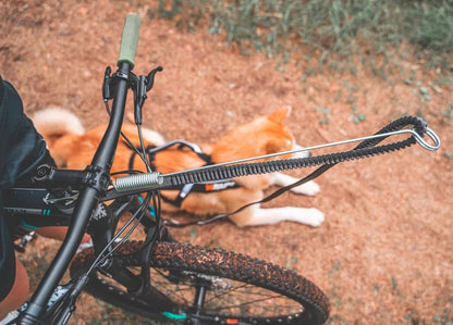 bikejoring antenna for leash with dog