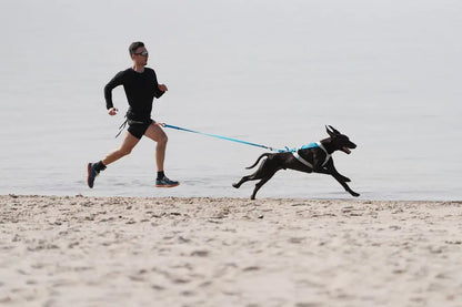 Freemotion 5.0 Dog Harness for Running or Pulling