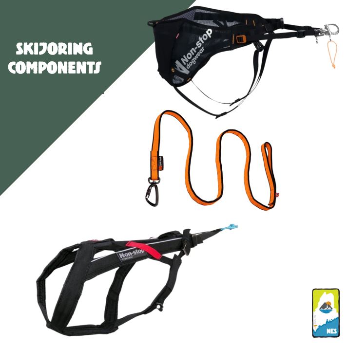 Freemotion 5.0 Dog Harness for Skijoring or Bikejoring - rental
