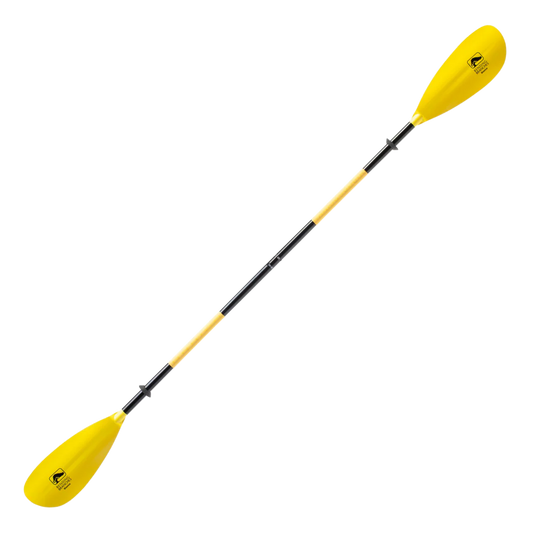 rent a spare kayak paddle