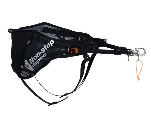 belt for skijoring with dog and skis gunstock