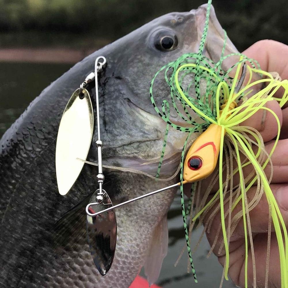 bass fishing near wells maine