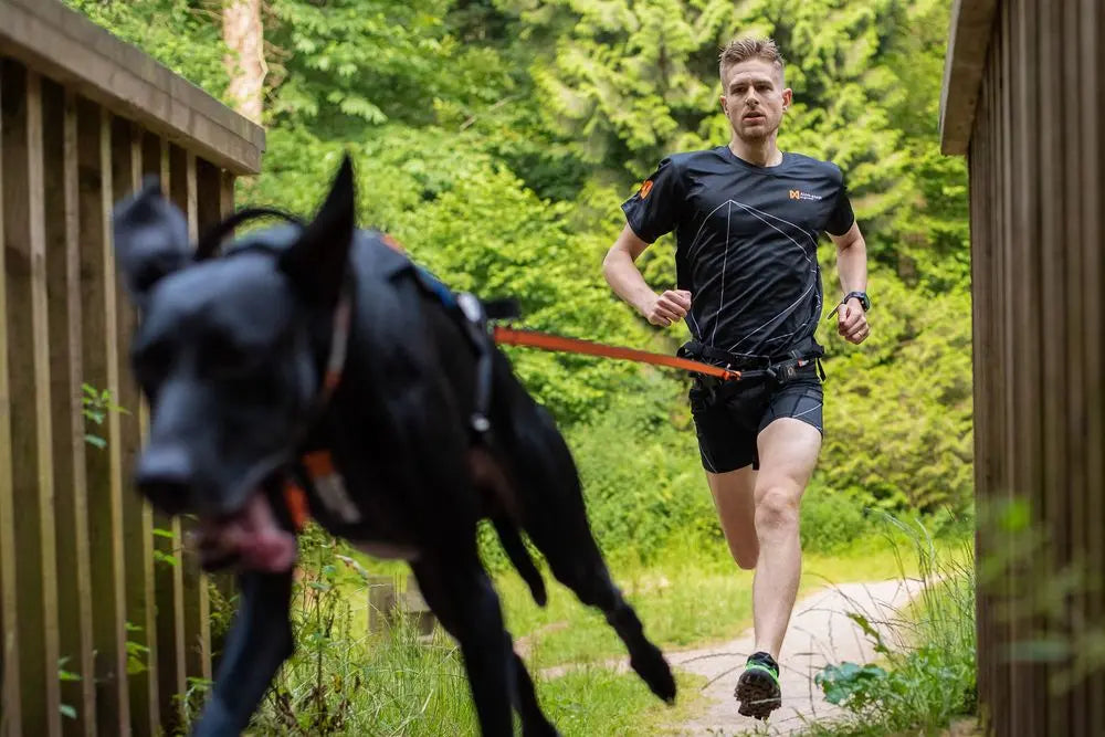 Freemotion 5.0 Dog Harness for Running or Pulling
