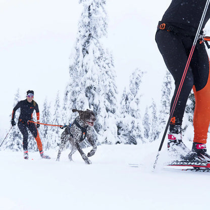 Two cross-country skiers with a dog in Maine