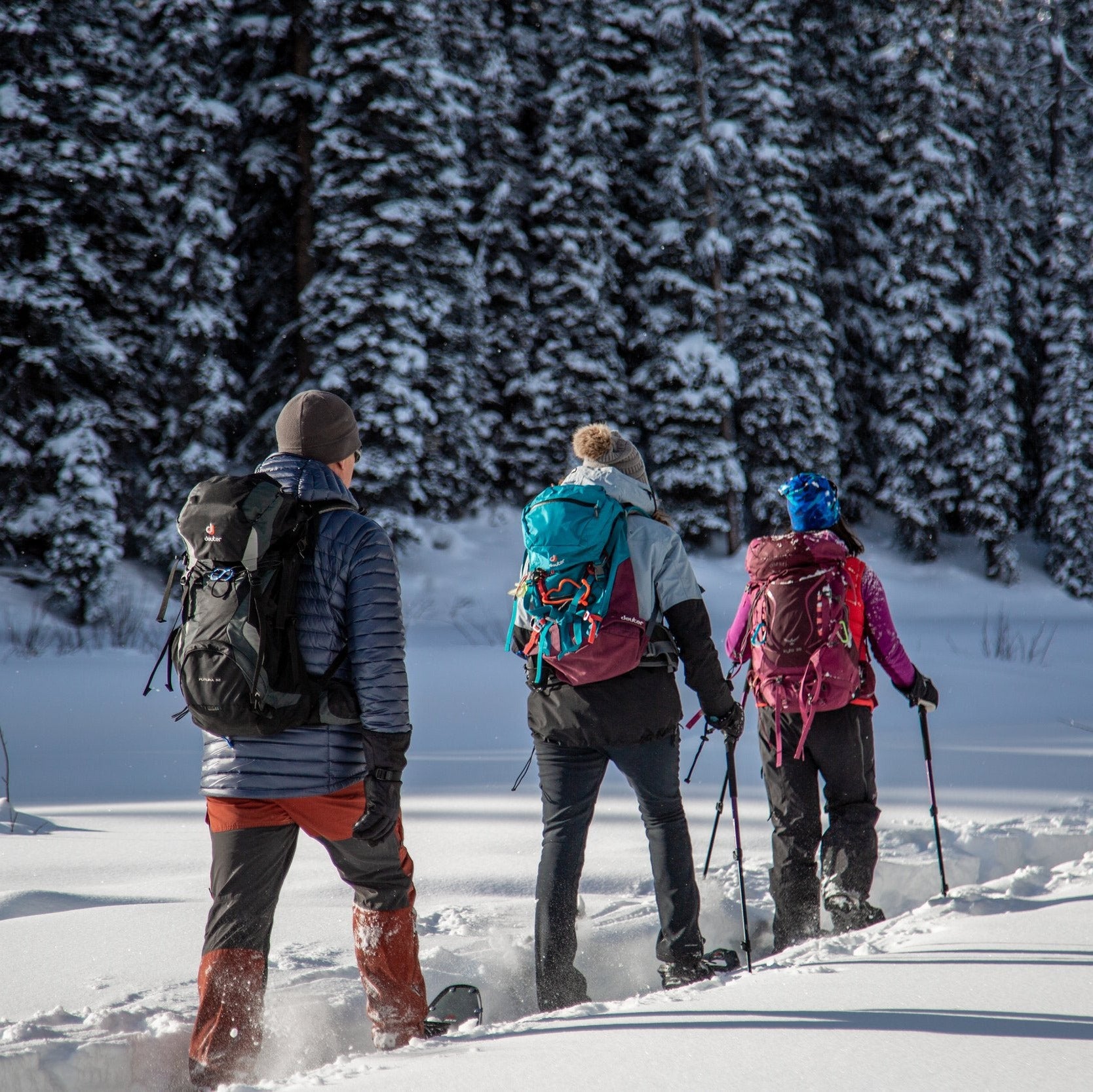 Maine Snowshoes for Rent
