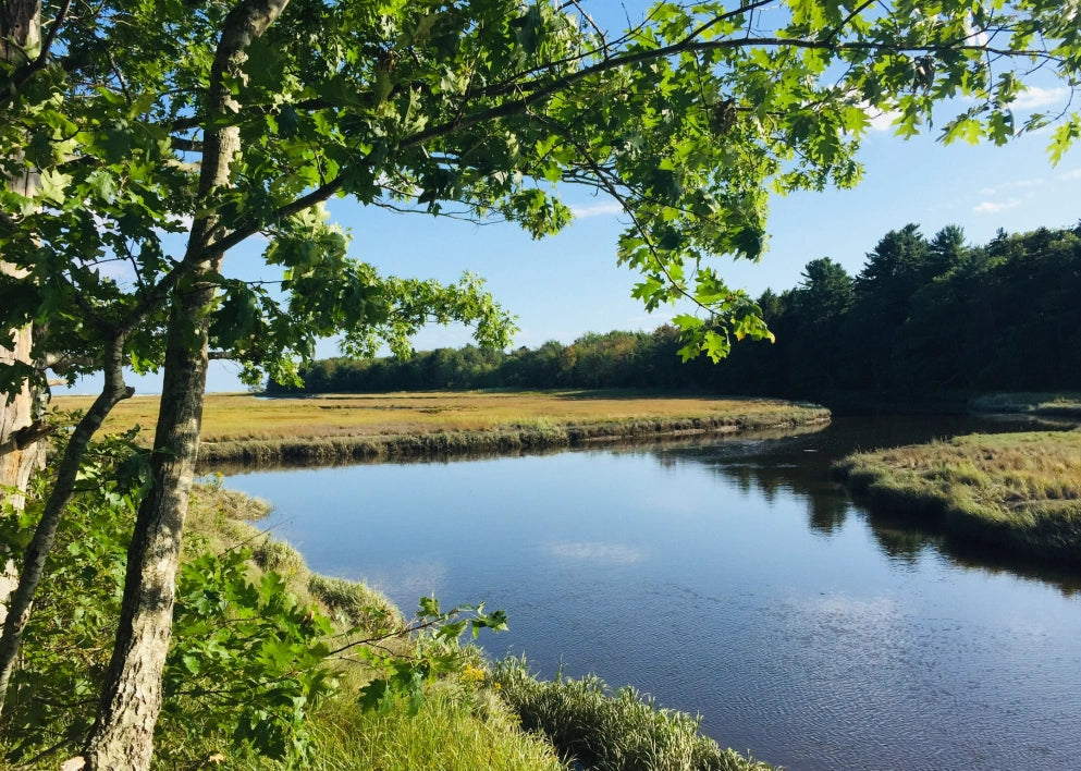 touring the york river by kayak